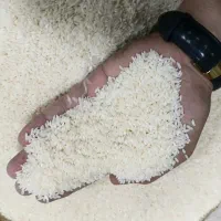 برنج(عنبربو وشیرودی)
