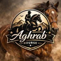 آموزش سوارکاری(باشگاه سوارکاری) از مبتدی تاحرفه ای