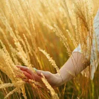 محصول ضعیف داری من کمکت میکنم