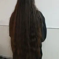 بدون واسطه