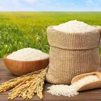 فروش برنج شمال