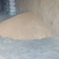 ۱تن گندم دیم فروشی