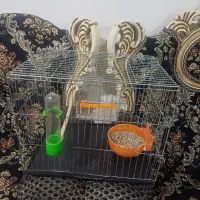 قفس متوسط