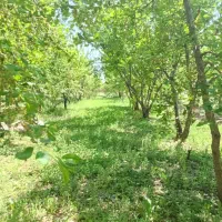 یک-قطعه830متری-دور-دیوار-باغ-در-دهکده-ویلایی