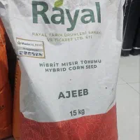 بذر ذرت رایال(رویال) عجیب