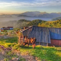 تور گروهی طبیعتگردی به شمال