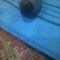 انگشتر نقره