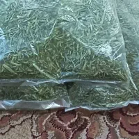 با سلام ترخون خشک گلباف