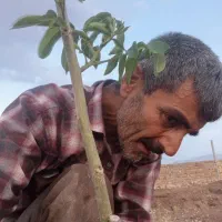 باغ داری وانجام خدمات
