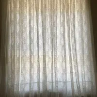 پرده ها همگی با استر
