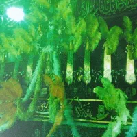 علامت ۱۷ تیغ خوش دست
