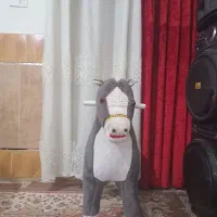 اسب