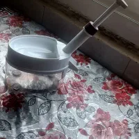 هسته گیر آلبالو
