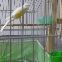 پسر خوشتیپ و خوش قد و قامت.