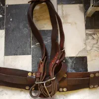 کمربند هیکلی علم کشی