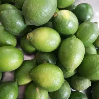 لیمو سنگی