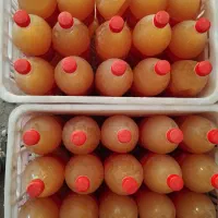 سرکه سیب خانگی|خوردنی و آشامیدنی|نیشابور, فیض آباد|دیوار