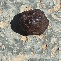 شهاب تکتیک