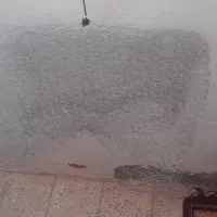 قفس پرنده