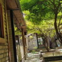نیروی ساده