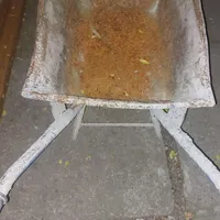 فرغون