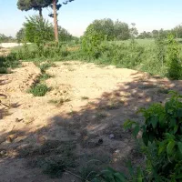 باغچه|فروش زمین و ملک کلنگی|قلعه نو, |دیوار
