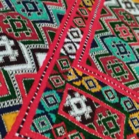 دو عدد زیاستین|لباس|زاهدان, |دیوار