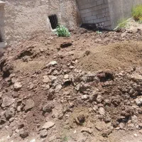 کودحیوانی