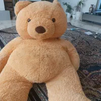 عروسک شاسخین