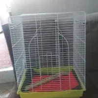 قفس پرنده