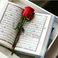 سرکتاب رایگان