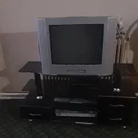 تلویزیون