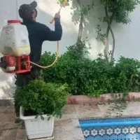 سمپاشی  وباغبانی