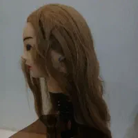 مانکن شنیون