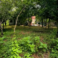 فروش زمین ۲۲۰۰ متری باغی ،گلخانه،طبیعت/آناملک