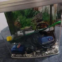 اکواریوم