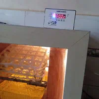 دستگاه جوجه کشی۴۲تایی،تمام،اتوماتیک