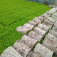 هاشمی ماشینی و دستی