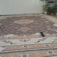 فرش ۱۲ متری ۲عدد