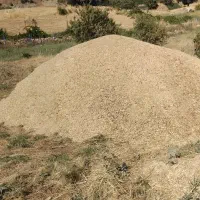 علف گزره