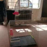 قفس  برای انواع پرنده