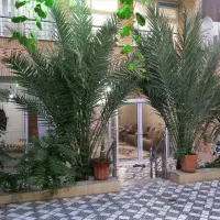 اجاره منزل ویلایی کوچه یخچال