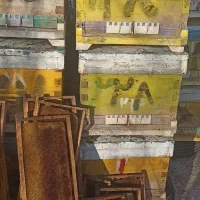 فروش کندو کف باز -معمولی و قاب