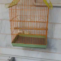قفس طوطی عروس هلندی نو