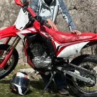 crf باسل