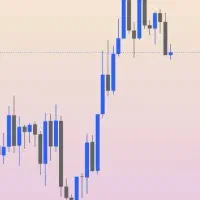 ۱۰۰ دلار اعتبار معاملاتی فارکس بدون واریز