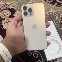 13پرومکس