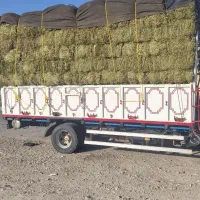 فروش بیده یونجه پرس شده