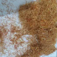 ریشه زعفران خوش عطر و خوش رنگ