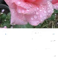 استخدام پرستار